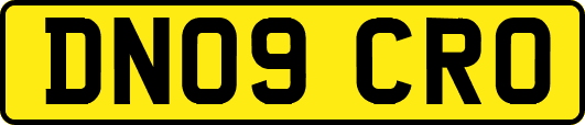 DN09CRO