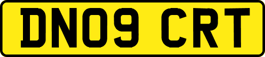 DN09CRT