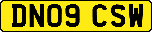 DN09CSW