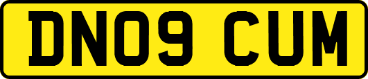 DN09CUM