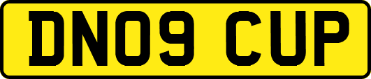 DN09CUP