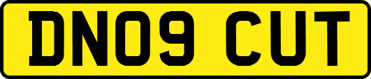 DN09CUT