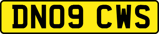 DN09CWS