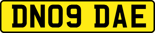 DN09DAE