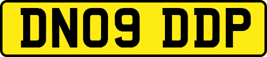 DN09DDP