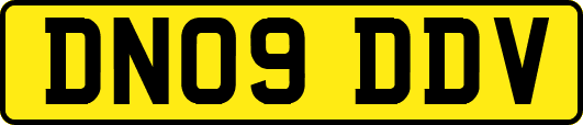 DN09DDV