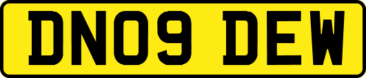 DN09DEW