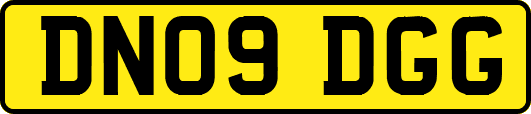 DN09DGG