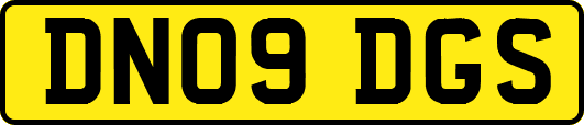 DN09DGS