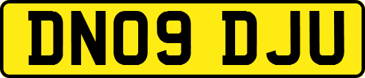 DN09DJU