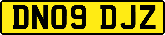 DN09DJZ