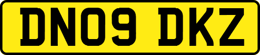 DN09DKZ