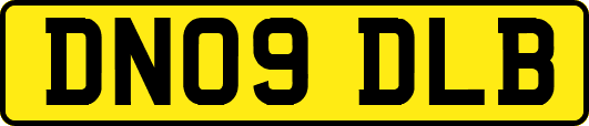 DN09DLB