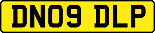 DN09DLP