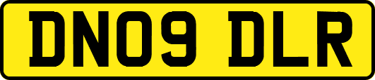 DN09DLR