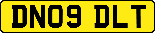 DN09DLT