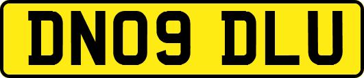 DN09DLU