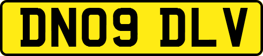 DN09DLV