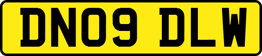 DN09DLW