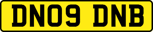 DN09DNB