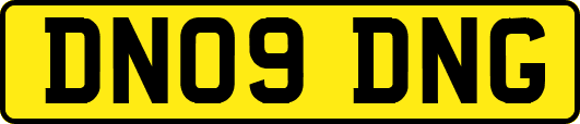 DN09DNG