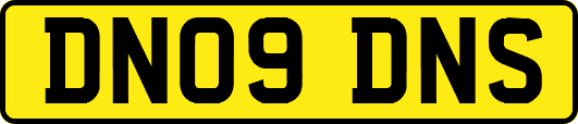 DN09DNS