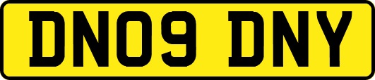 DN09DNY