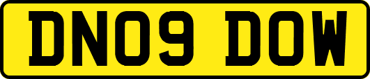 DN09DOW