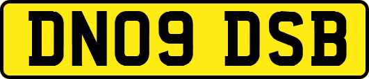 DN09DSB