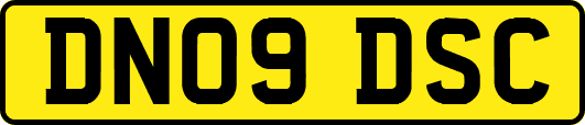 DN09DSC