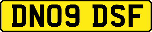 DN09DSF
