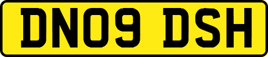 DN09DSH