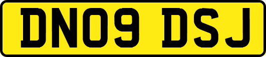 DN09DSJ