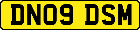 DN09DSM