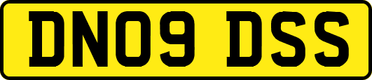 DN09DSS