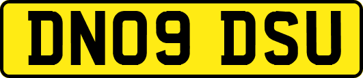 DN09DSU