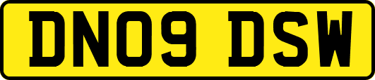 DN09DSW