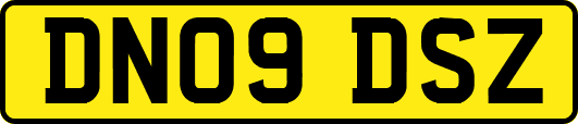 DN09DSZ