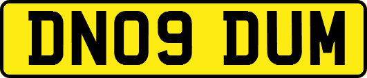 DN09DUM