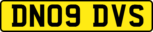 DN09DVS