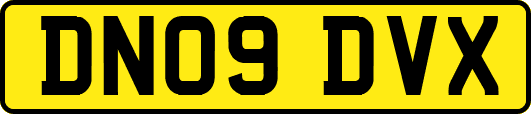 DN09DVX