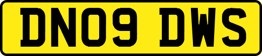 DN09DWS