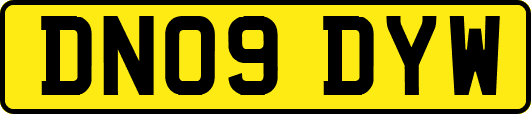 DN09DYW