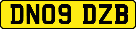 DN09DZB