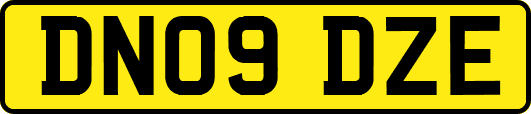 DN09DZE