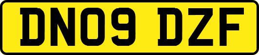 DN09DZF