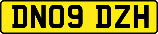 DN09DZH