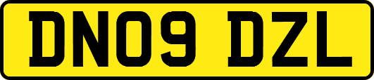 DN09DZL