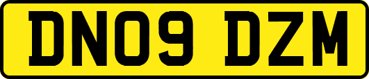 DN09DZM