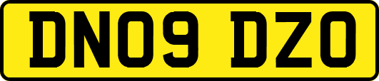 DN09DZO